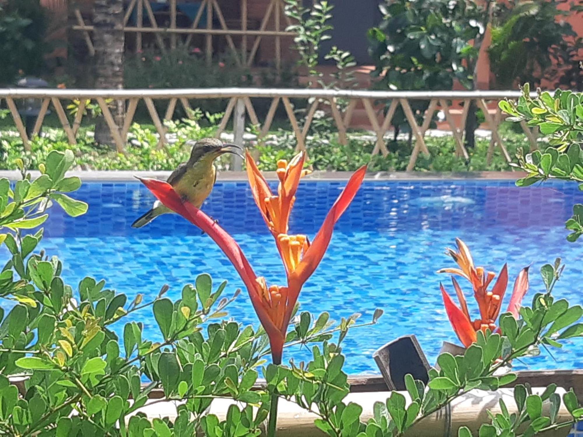 Anan Boutique Bungalows With Private Kitchen Phu Quoc Exterior foto