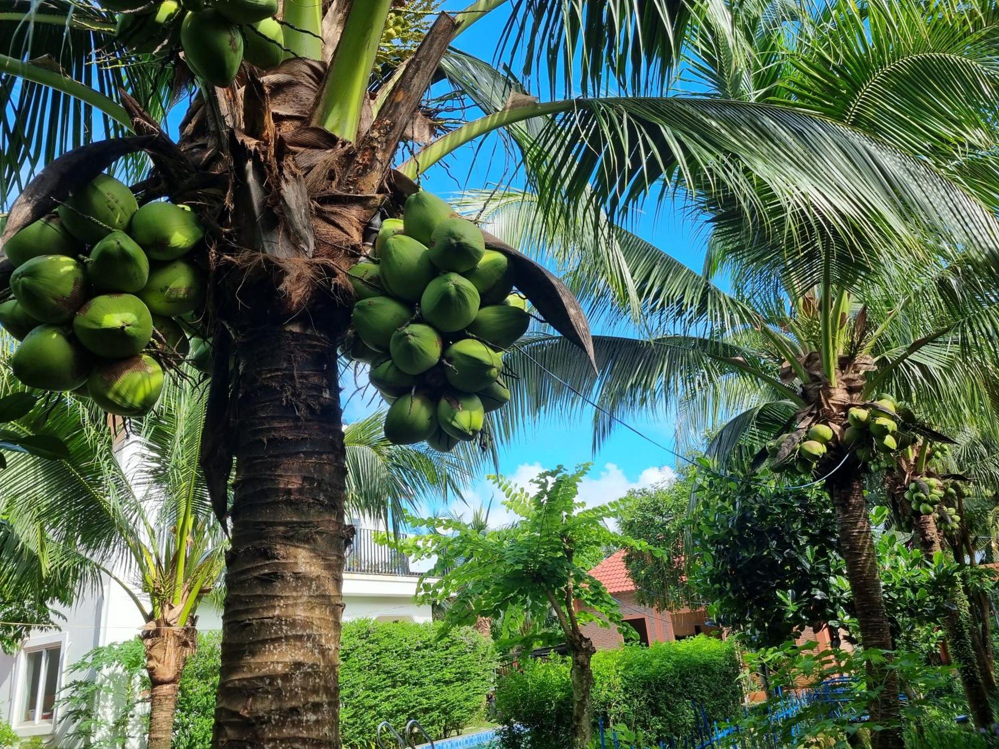 Anan Boutique Bungalows With Private Kitchen Phu Quoc Exterior foto